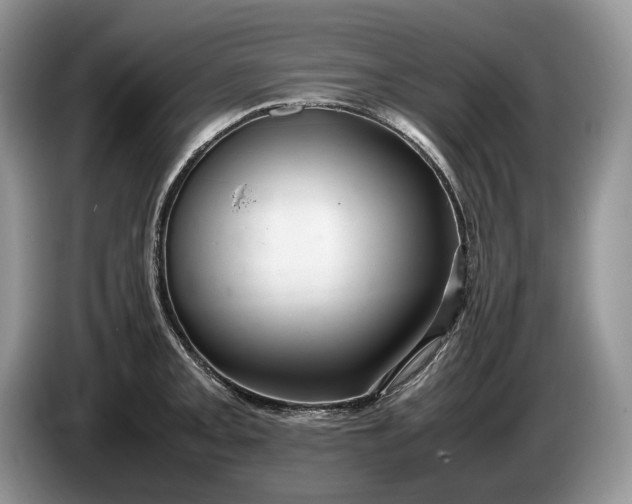 X0000086281093200704122043