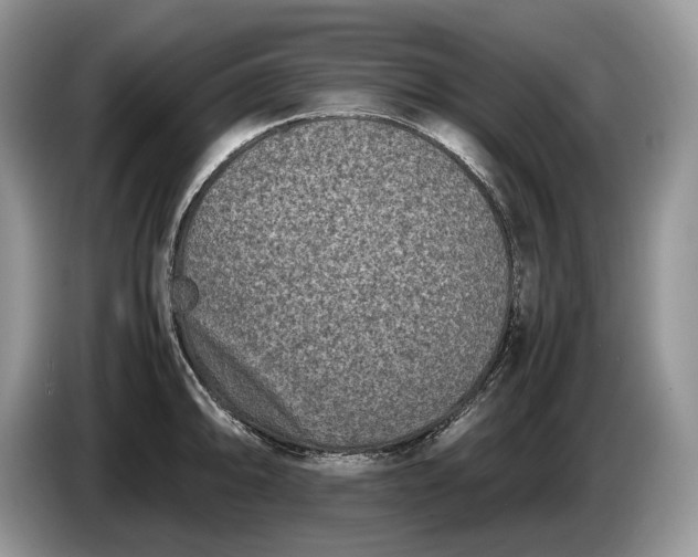 X0000086281094200704122043