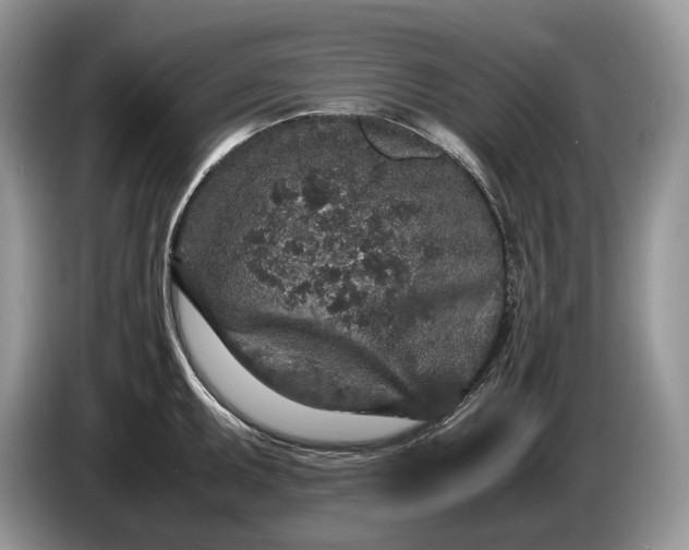 X0000086281095200704122043