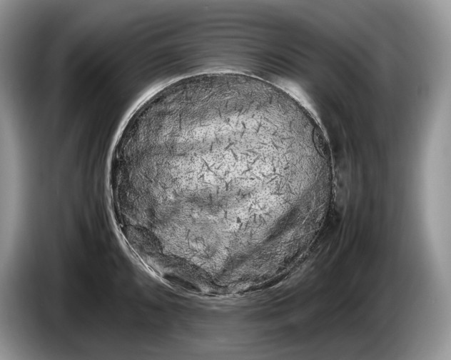 X0000086281096200704122043