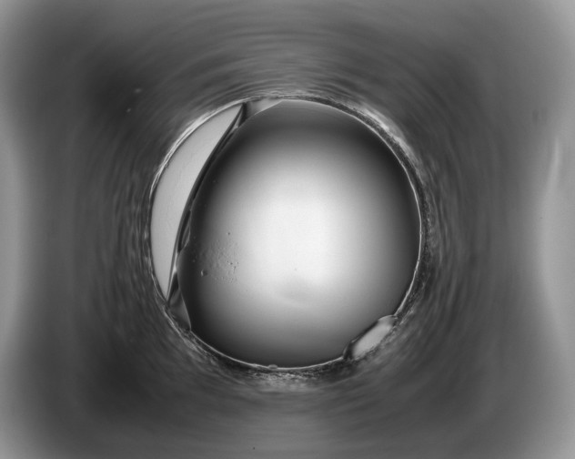 X0000086281097200704122043