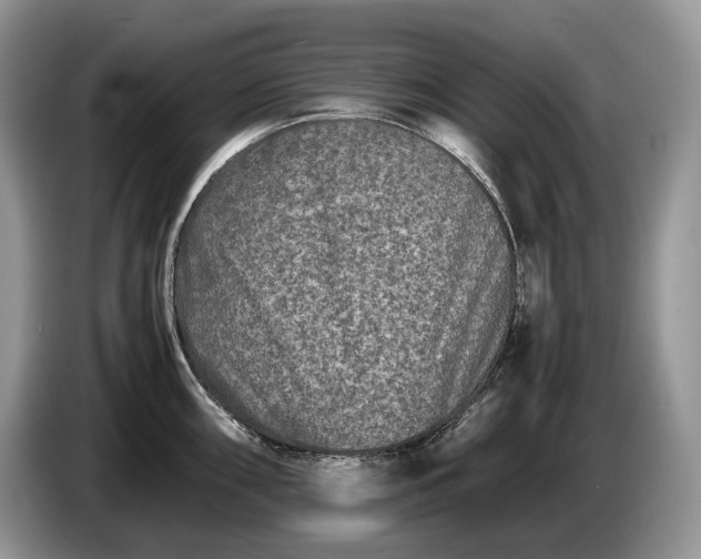 X0000086281098200704122043