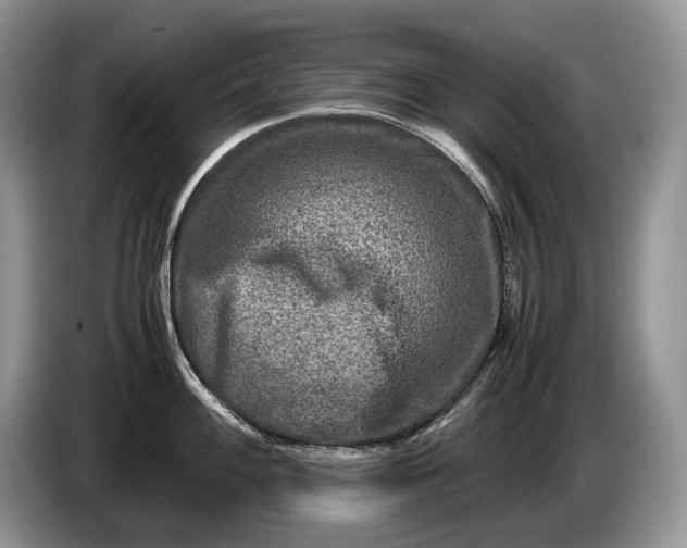 X0000086281100200704122043