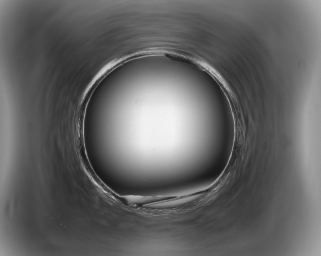 X0000086281101200704122043