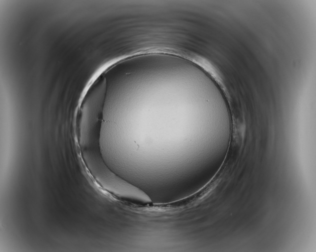 X0000086281102200704122043