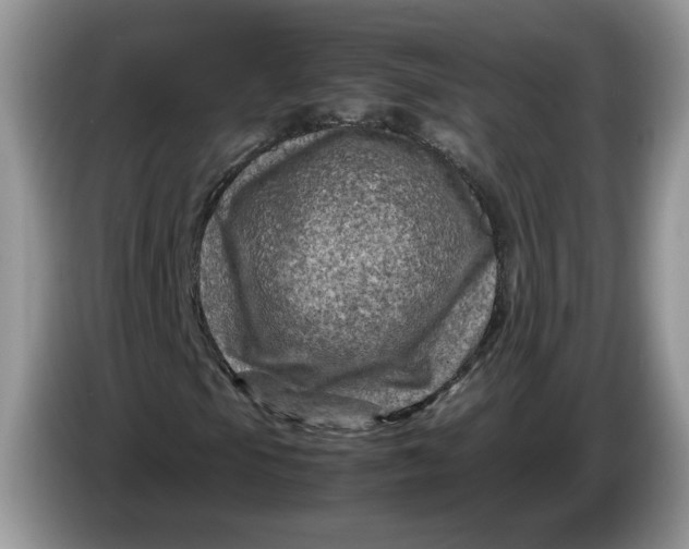 X0000086281105200704122042