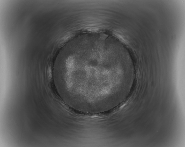 X0000086281106200704122042