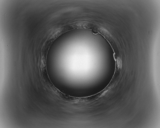 X0000086281107200704122042