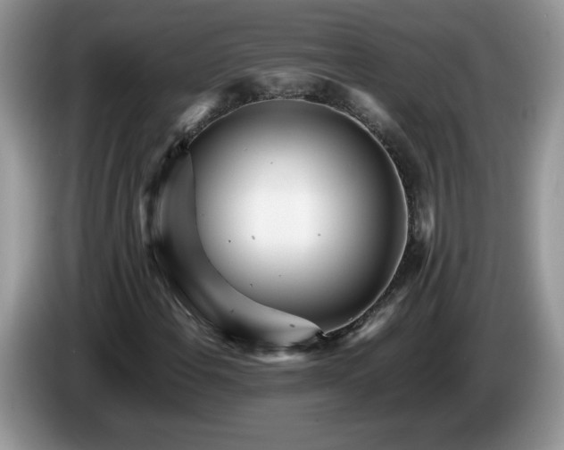 X0000086281108200704122042