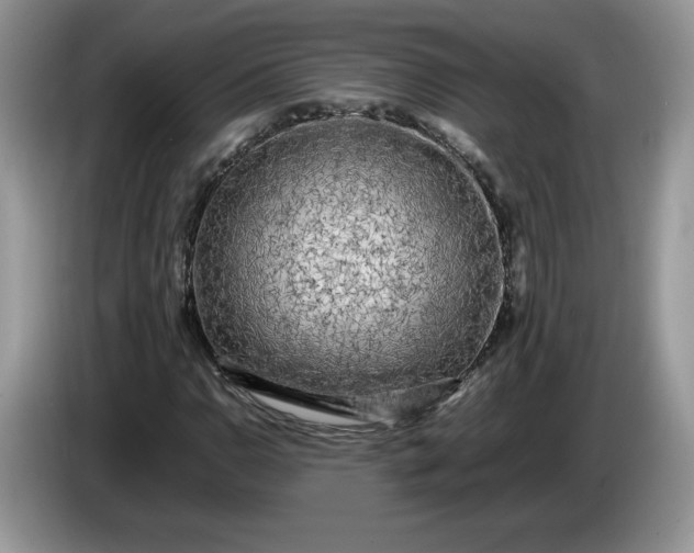 X0000086281110200704122042