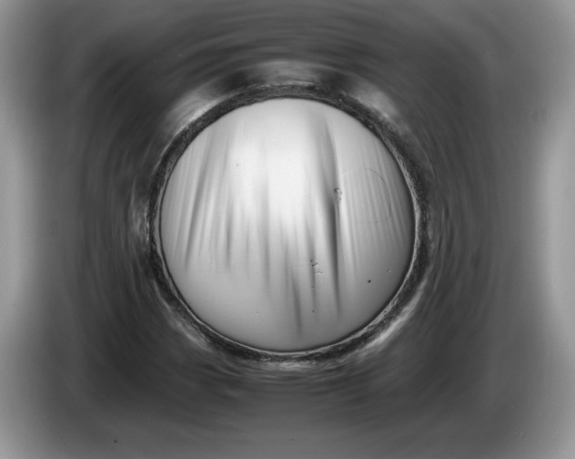 X0000086281113200704122042