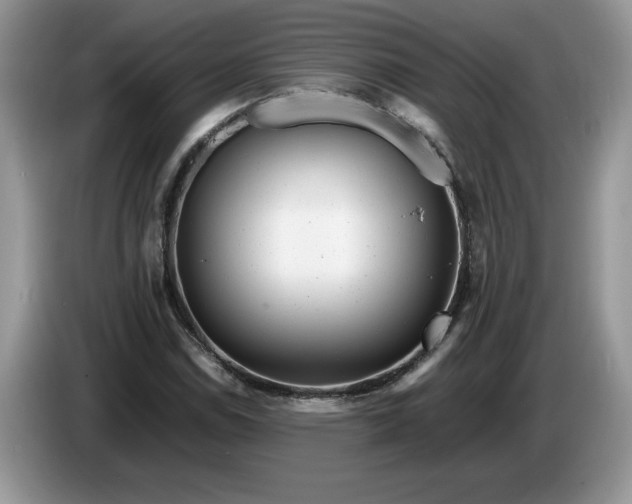 X0000086281114200704122042