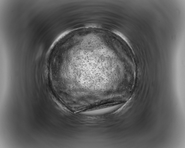 X0000086281115200704122042