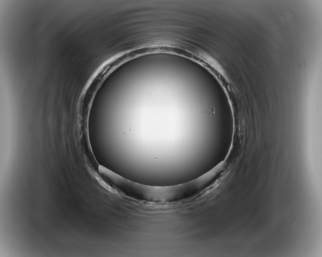 X0000086281116200704122042