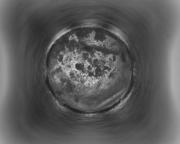 X0000086281117200704122042