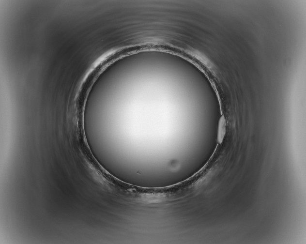 X0000086281118200704122042