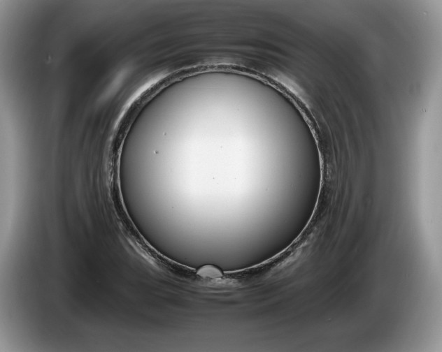 X0000086281119200704122042