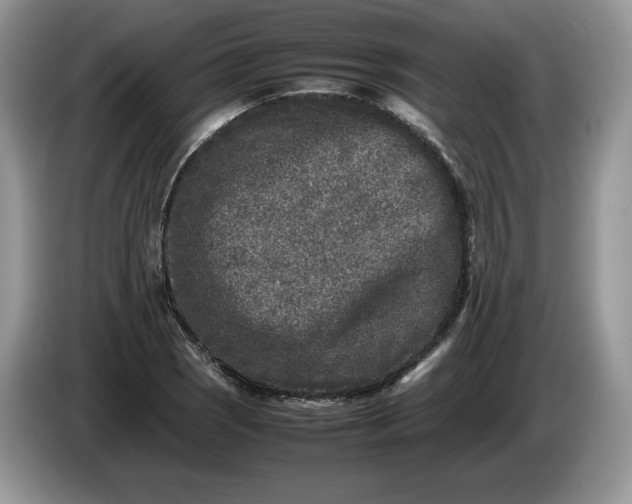 X0000086281121200704122042