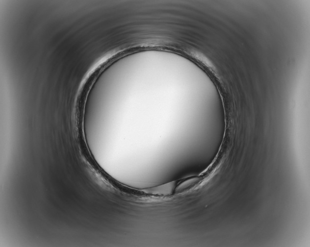 X0000086281122200704122042