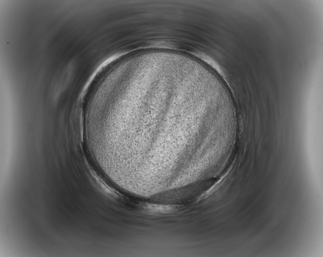 X0000086281123200704122042