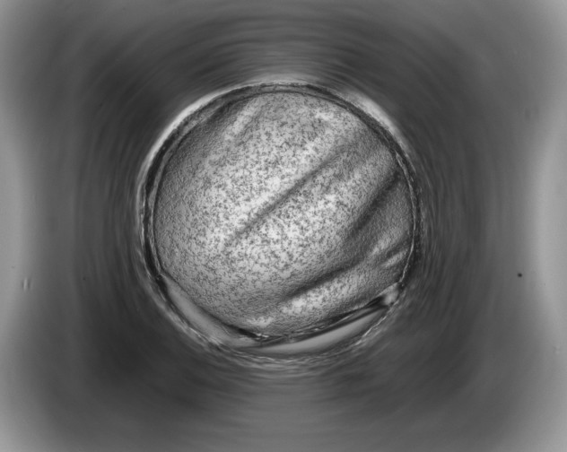 X0000086281124200704122042