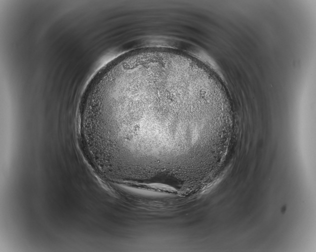 X0000086281125200704122042