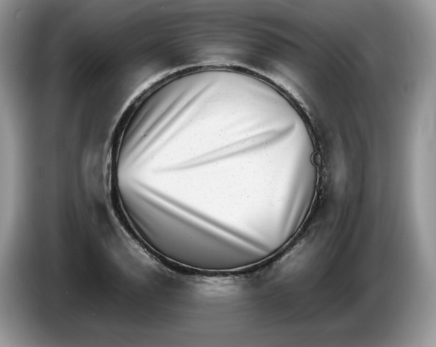 X0000086281126200704122042