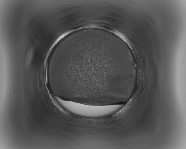 X0000086281127200704122042