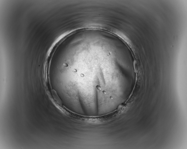 X0000086281128200704122042