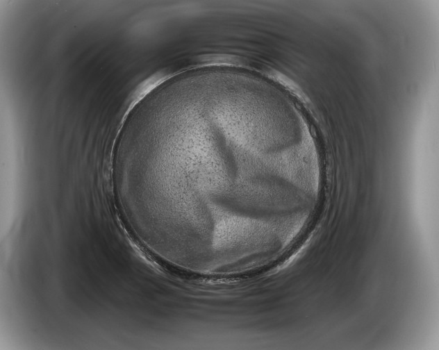 X0000086281129200704122042