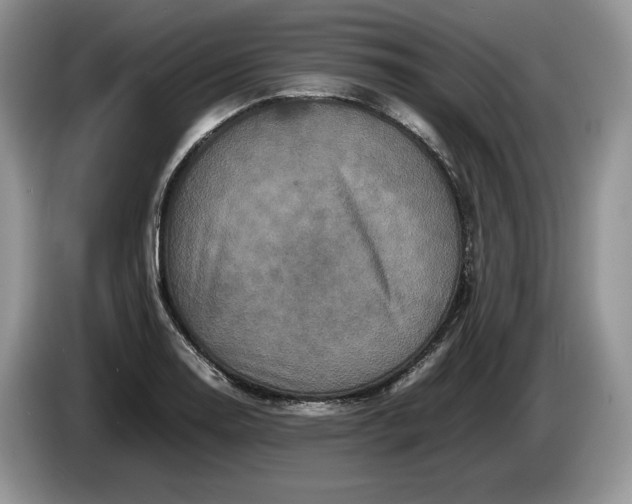 X0000086281130200704122042