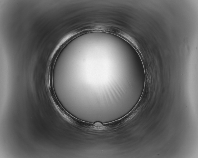 X0000086281131200704122042