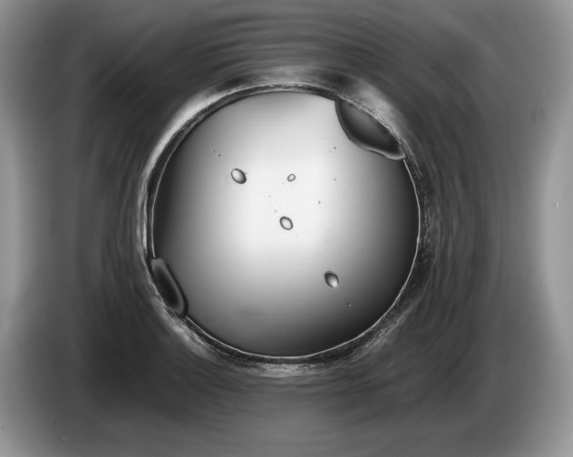 X0000086281132200704122042