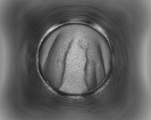 X0000086281133200704122042