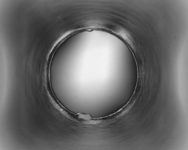 X0000086281134200704122042