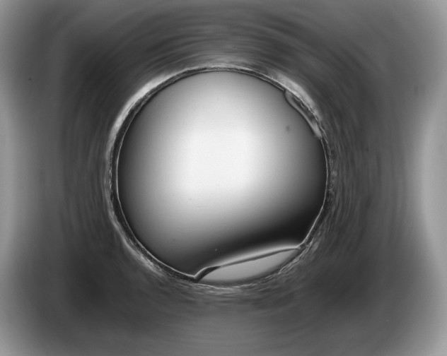 X0000086281136200704122042