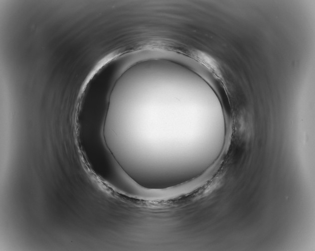 X0000086281138200704122042