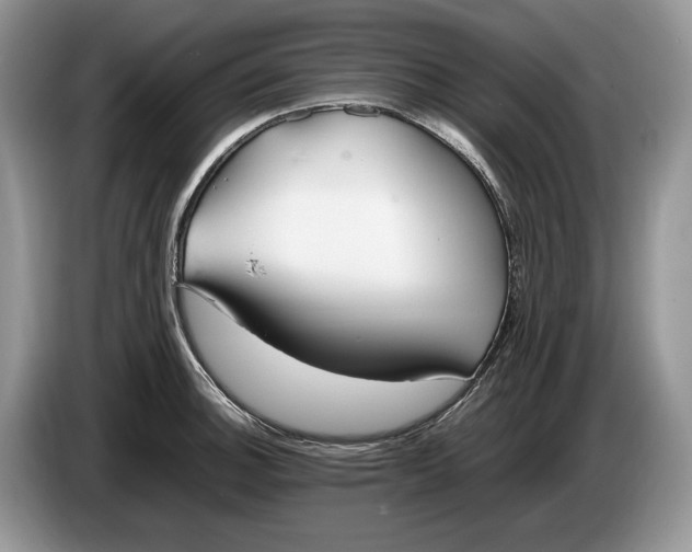 X0000086281140200704122042