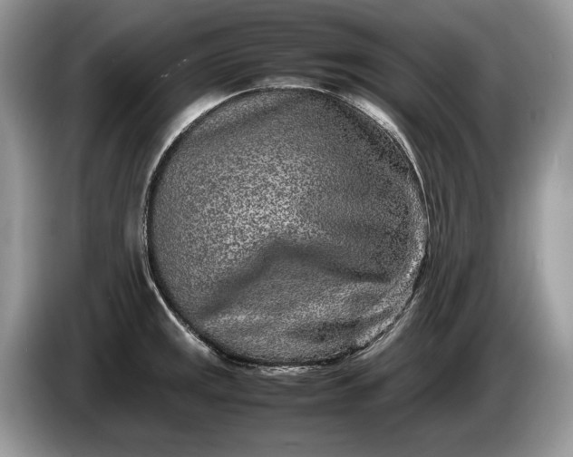 X0000086281141200704122042