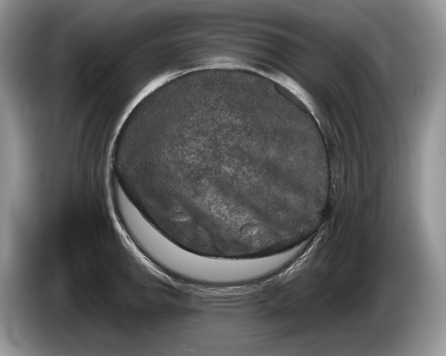 X0000086281142200704122042