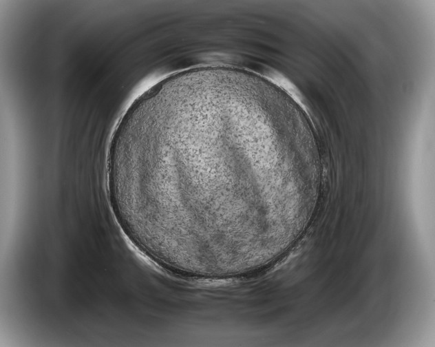 X0000086281143200704122042