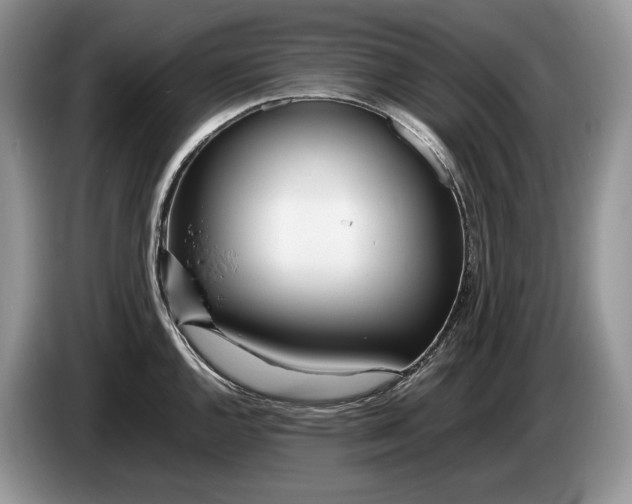 X0000086281144200704122043