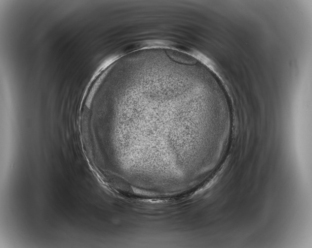 X0000086281145200704122043