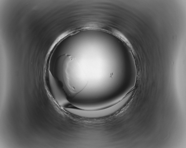 X0000086281146200704122043