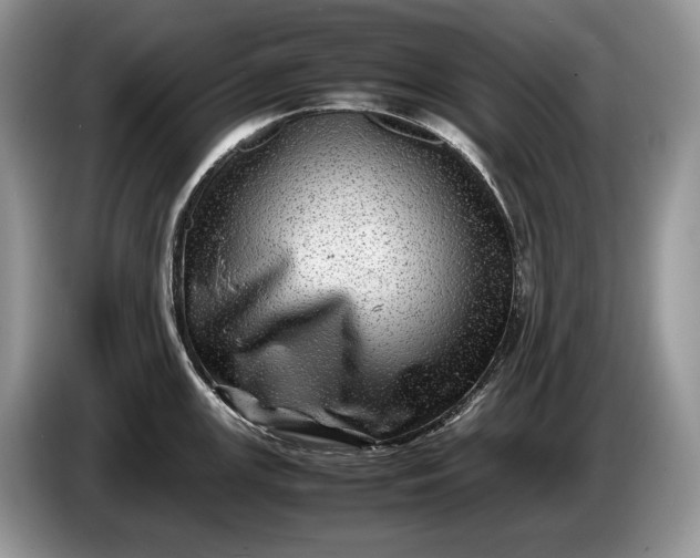 X0000086281147200704122043