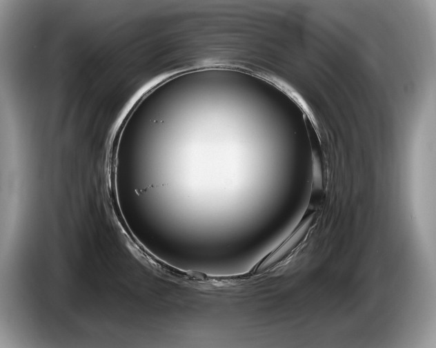 X0000086281148200704122043