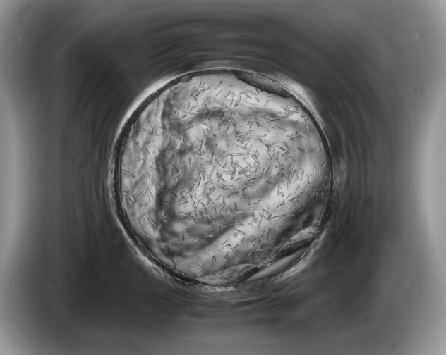 X0000086281149200704122043