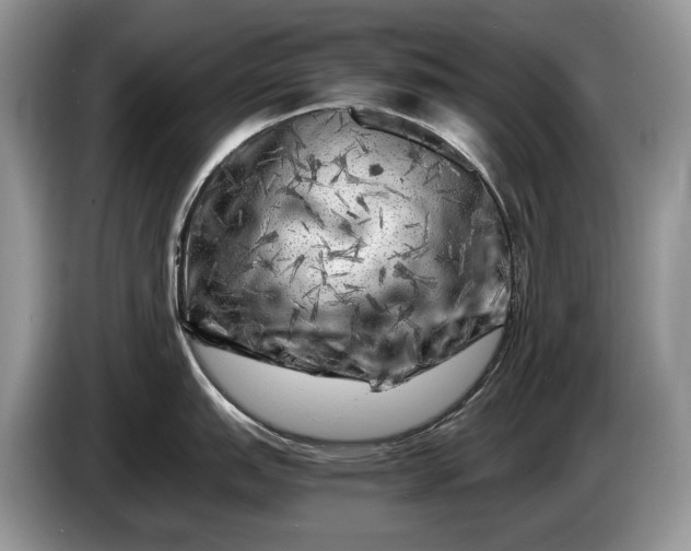 X0000086281151200704122043