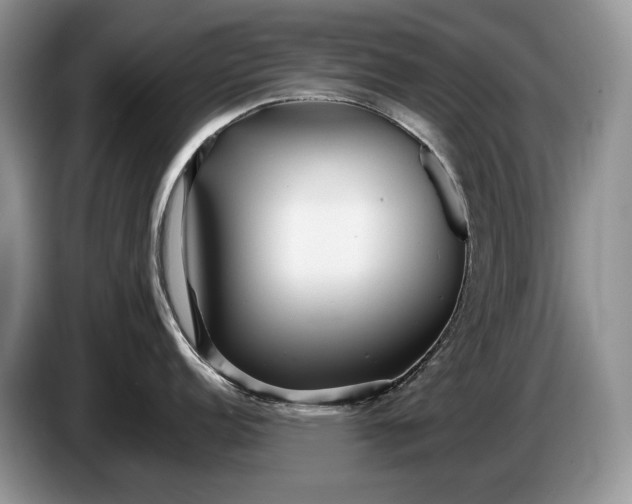 X0000086281152200704122043