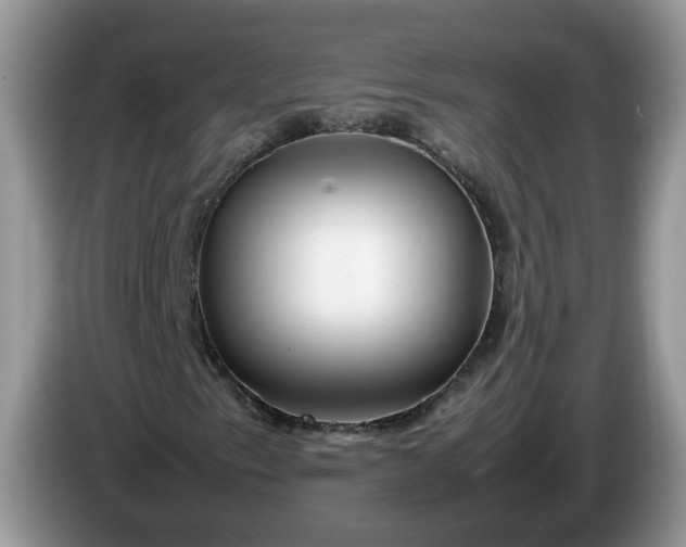 X0000086281153200704122042